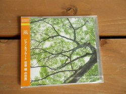 DSCN3373.jpg