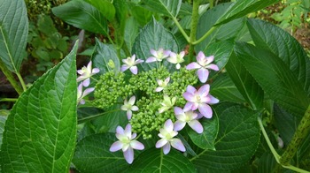 KIMG0813.JPG