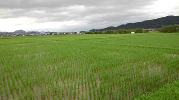 KIMG0895.JPG