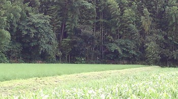 KIMG0910.JPG