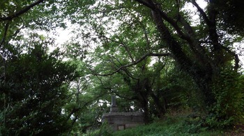 KIMG2421.JPG