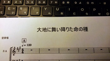 KIMG2698~2.JPG