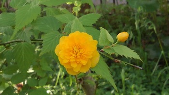 KIMG7858.JPG